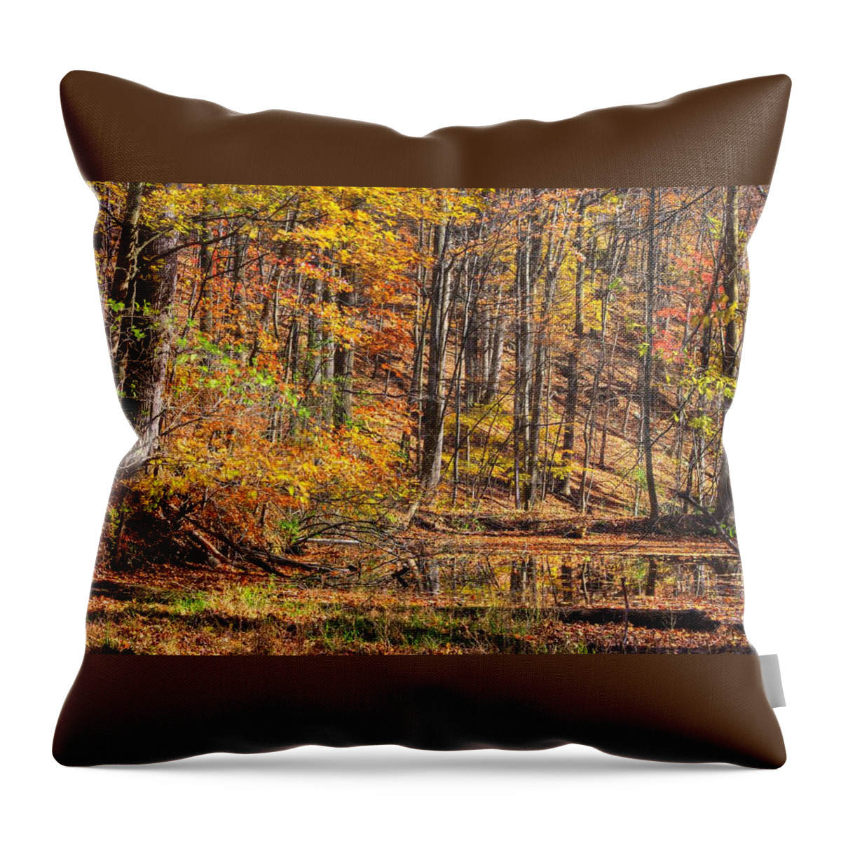 Maryland Throw Pillow featuring the photograph Maryland Country Roads - Reflection Amidst the Colorful Noise No. 1 - Catoctin Mountains by Michael Mazaika