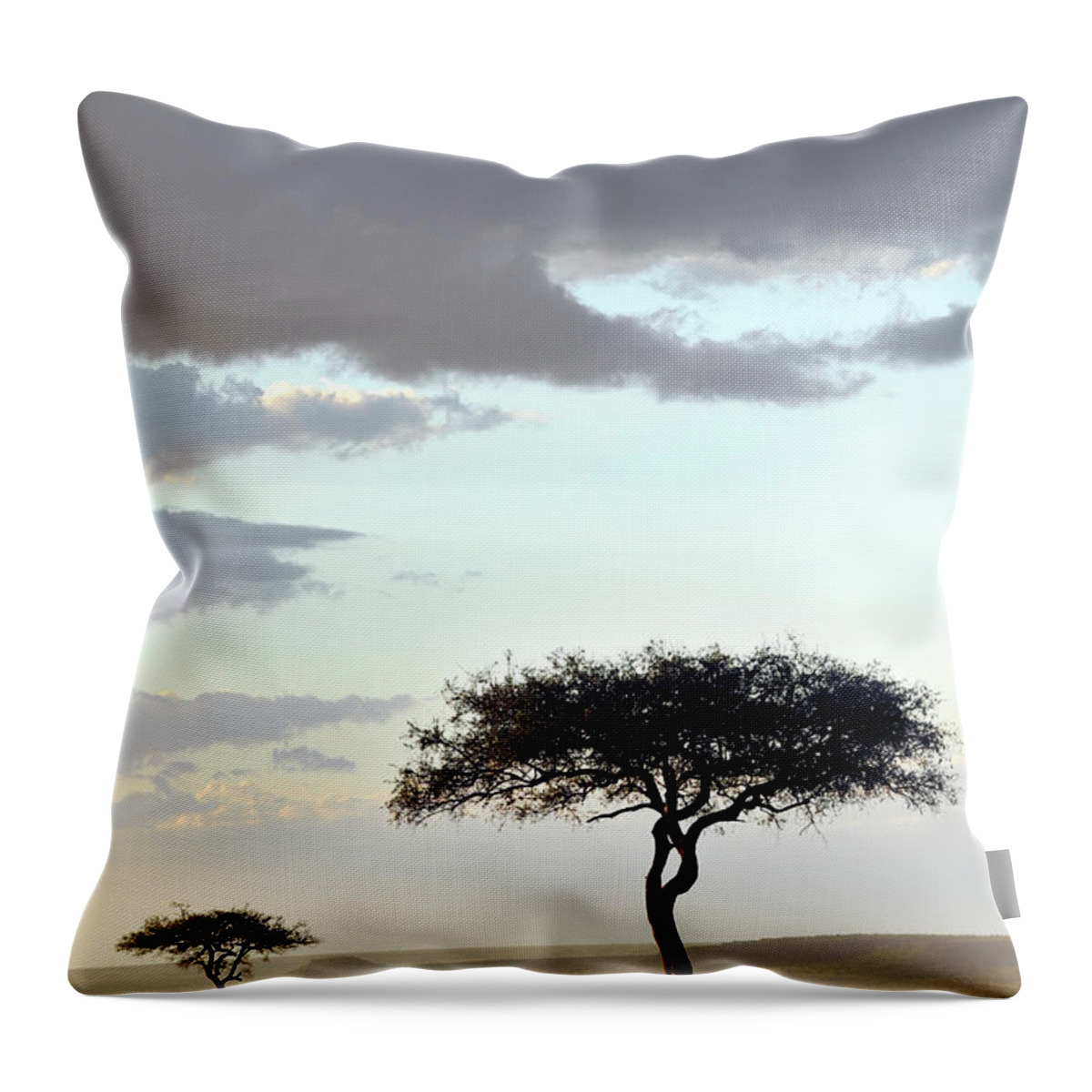 Scenics Throw Pillow featuring the photograph Masai Mara Sunset And Acacias by Ignacio Palacios