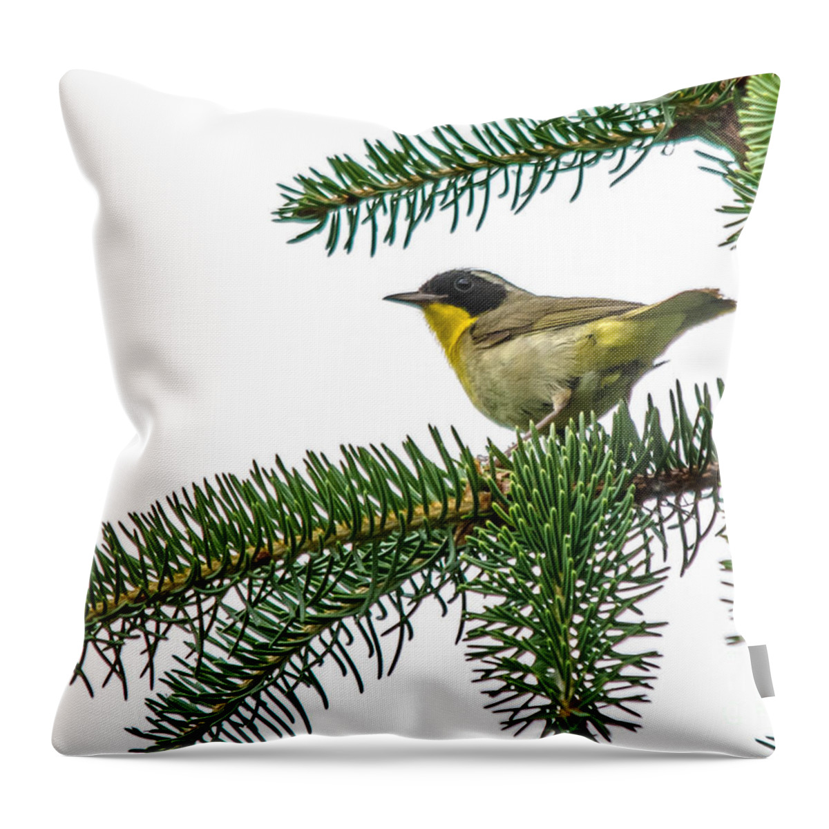 Beautiful Throw Pillow featuring the photograph Masked Warbler by Cheryl Baxter