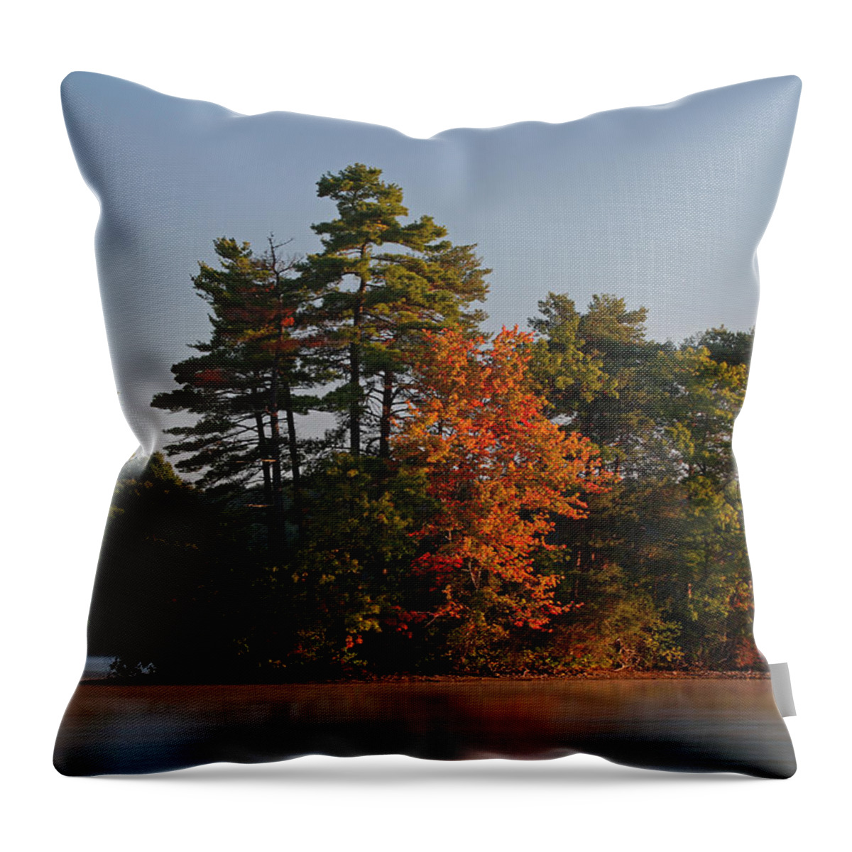 New England Throw Pillow featuring the photograph Massachusetts Lake Cochituate by Juergen Roth