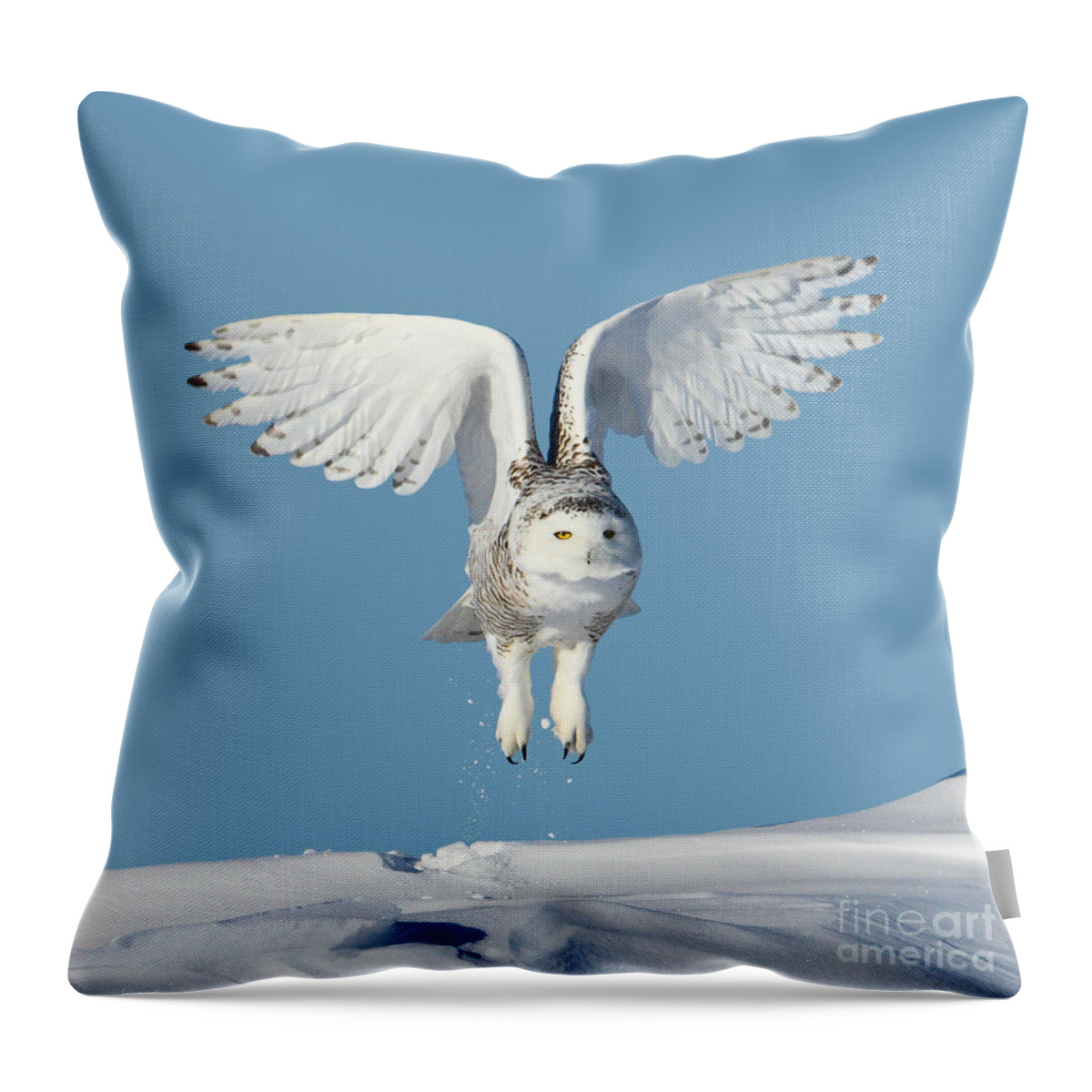 Snowy Owls Throw Pillow featuring the photograph Maximum lift by Heather King