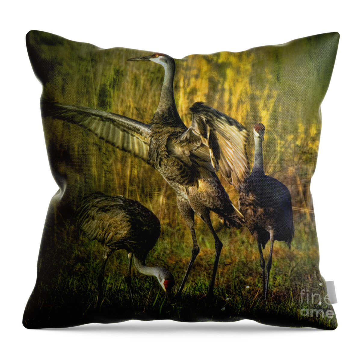 Birds Throw Pillow featuring the digital art May I Have This Dance by Lianne Schneider