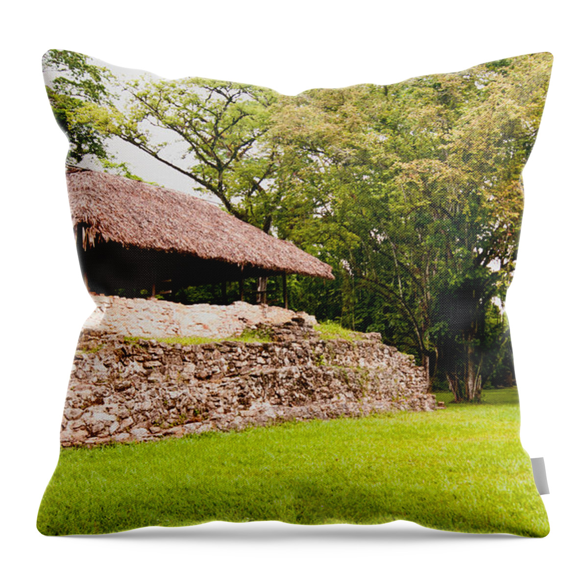  Throw Pillow featuring the photograph Mayan City Bldg by James Gay
