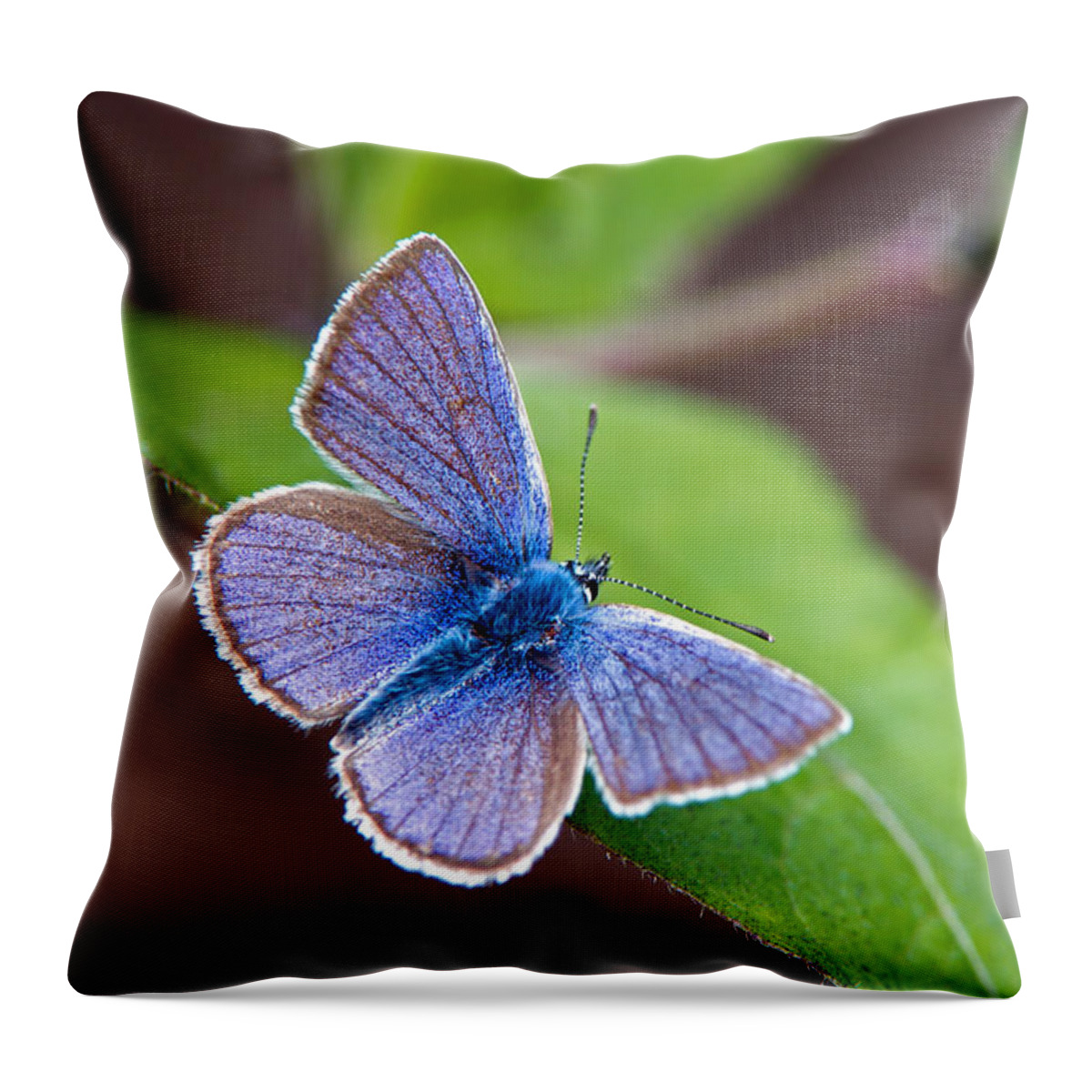 Mazarine Blue Throw Pillow featuring the photograph Mazarine Blue by Torbjorn Swenelius