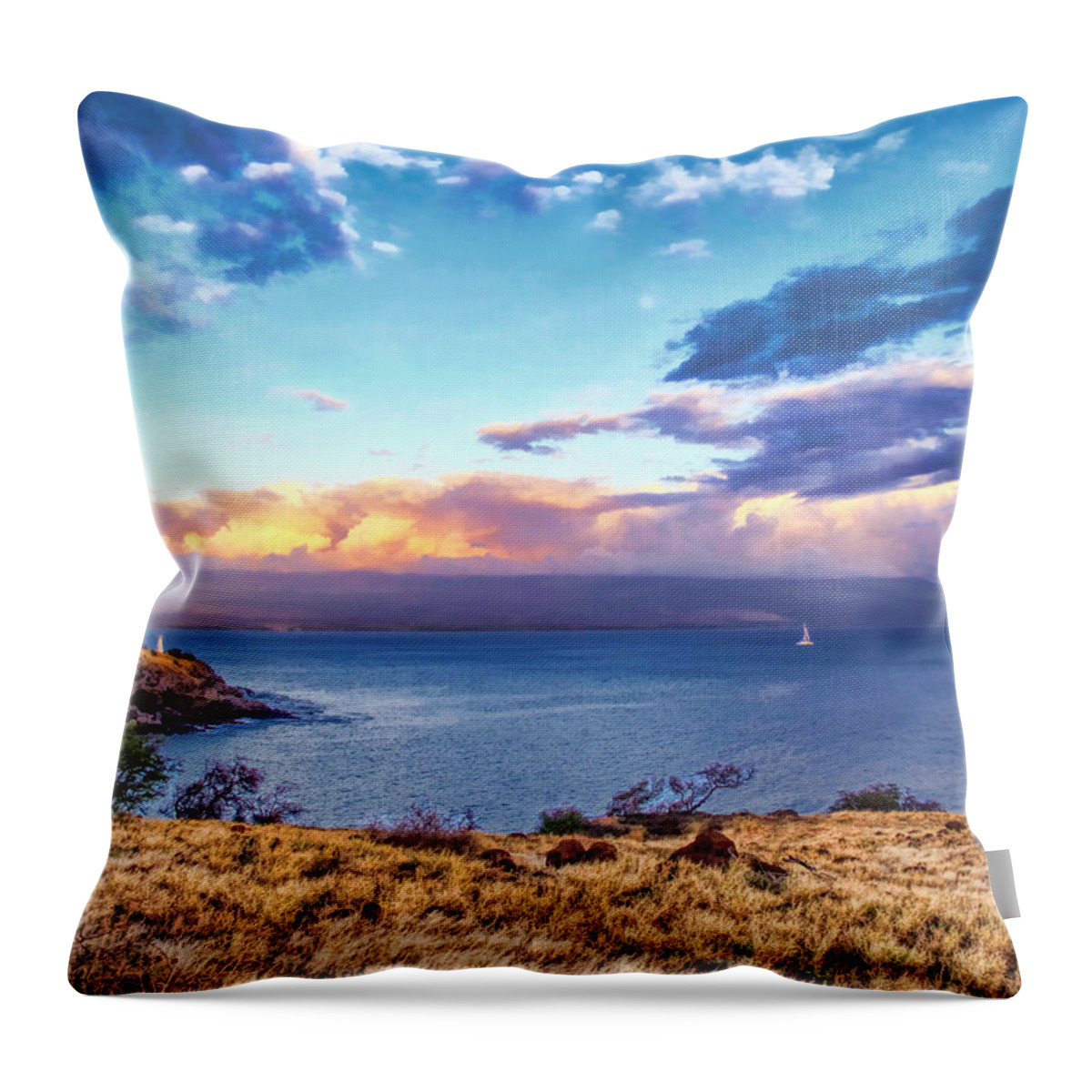 Hawaii Throw Pillow featuring the photograph McGregor Point 1 by Dawn Eshelman