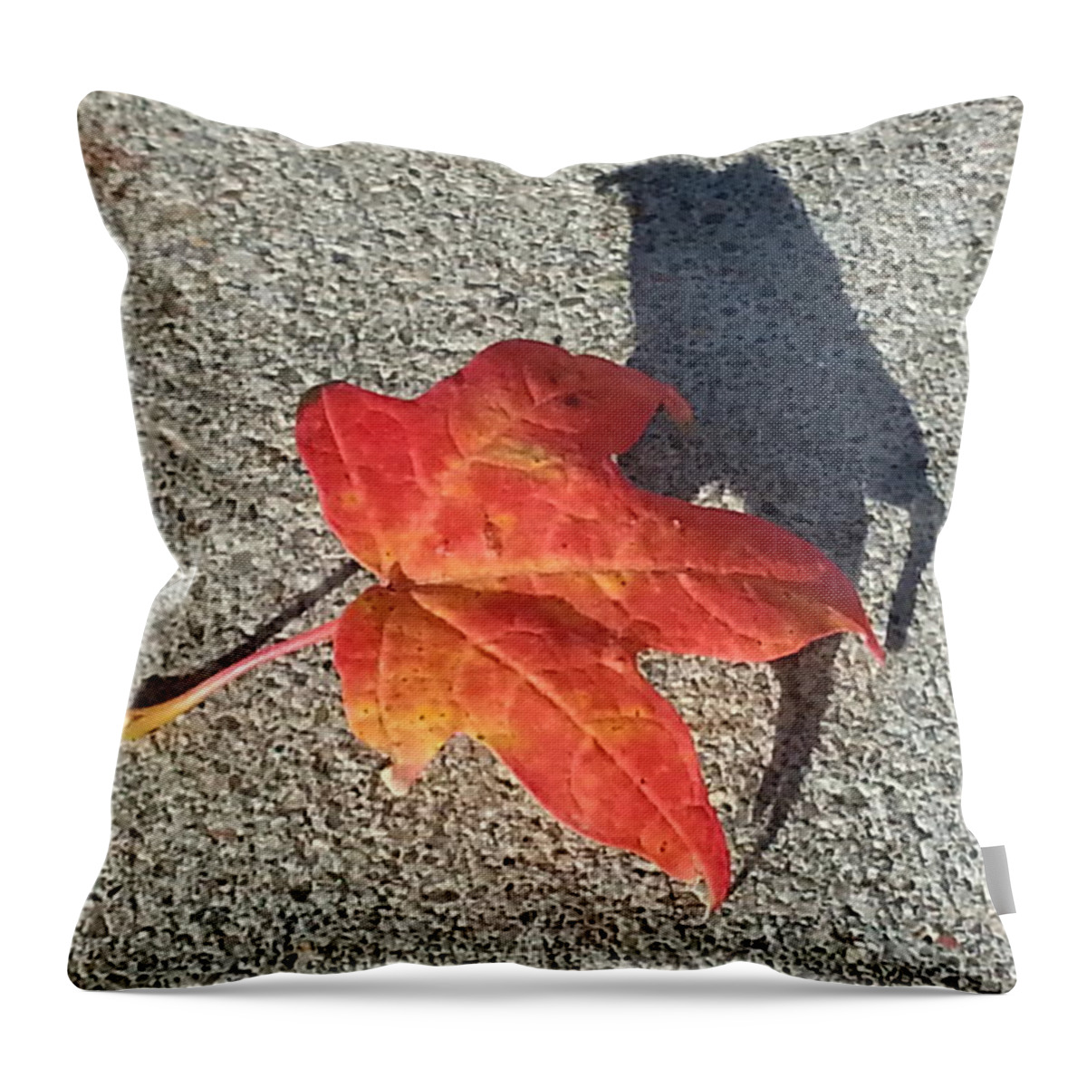 Red Leaf Throw Pillow featuring the photograph Me and My Shadow by Caryl J Bohn