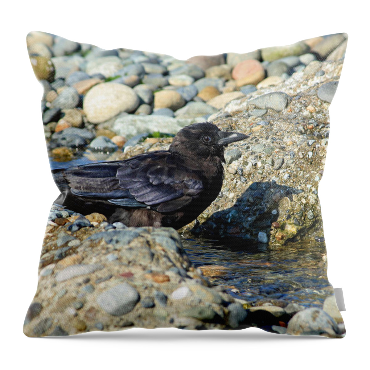 Birds Throw Pillow featuring the photograph Me and My Shadow by E Faithe Lester
