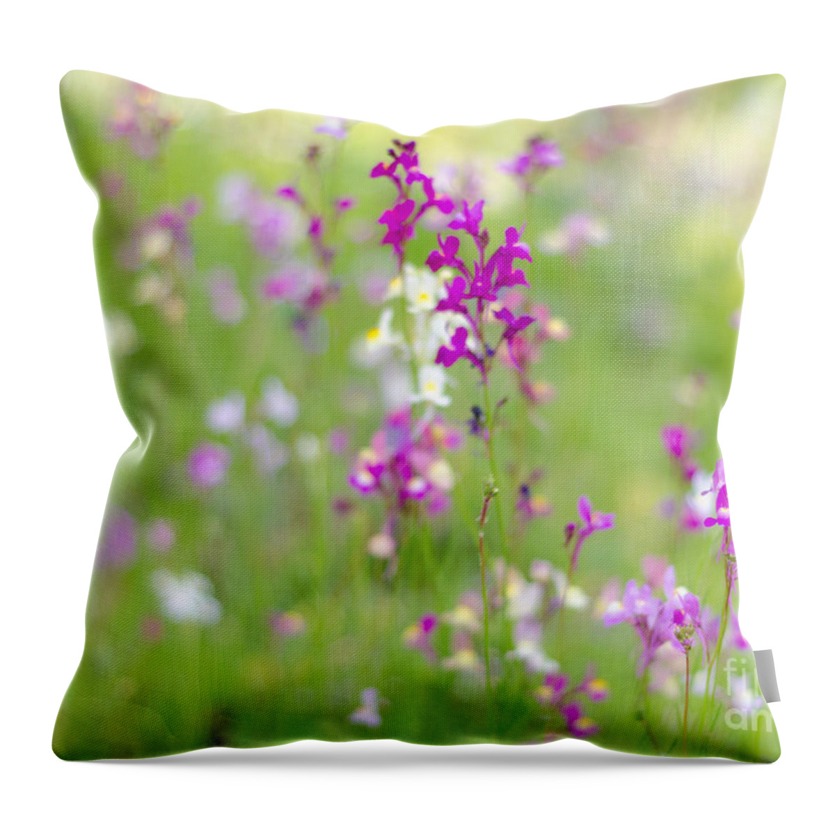 Pink Throw Pillow featuring the photograph Meadow of Pink II by Tamara Becker