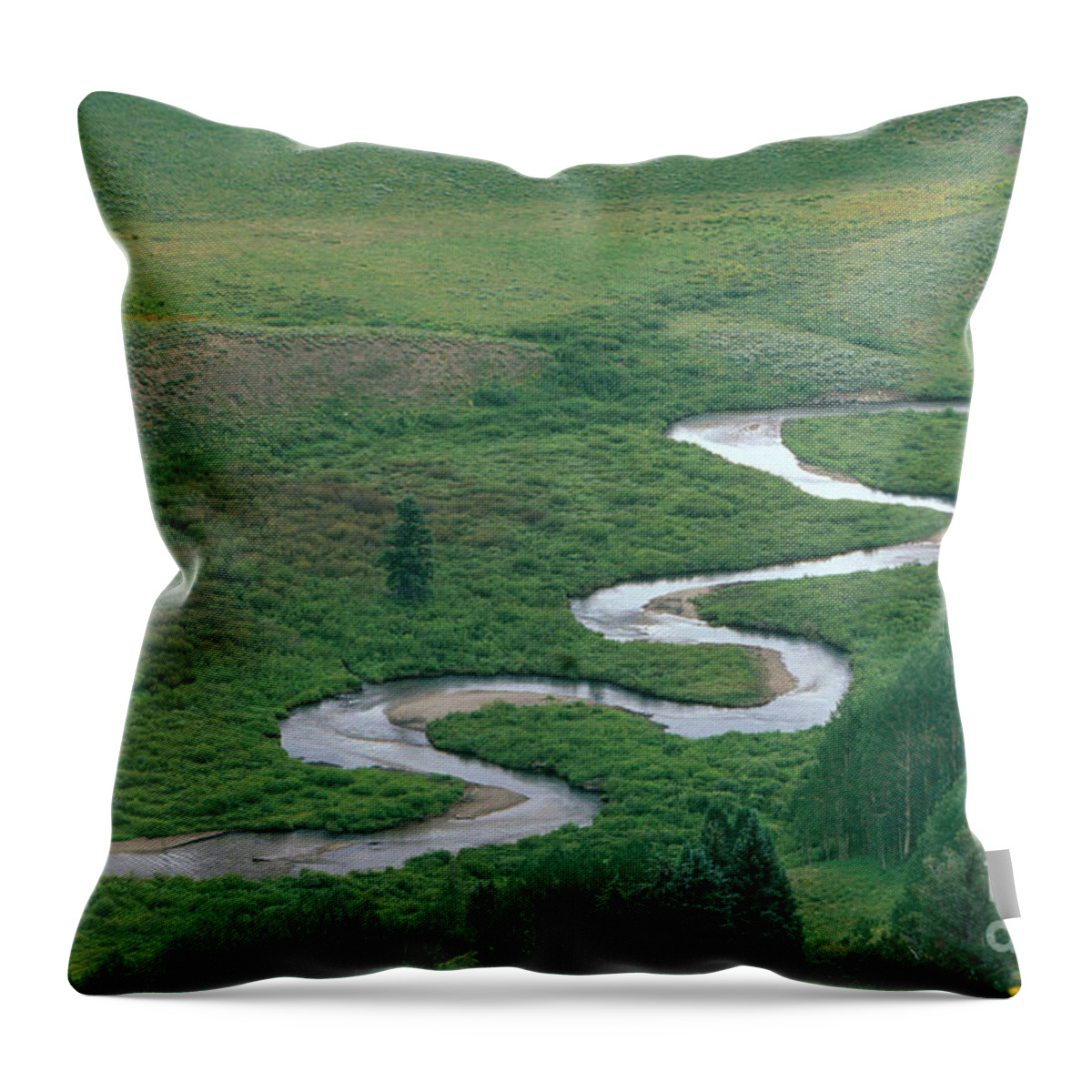 East River Throw Pillow featuring the photograph Meandering East River by David Davis