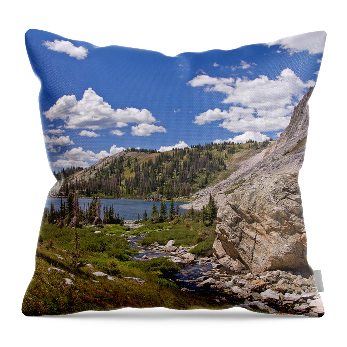 Wyoming Throw Pillow featuring the photograph Medicine Bow Mountains by Gerald DeBoer