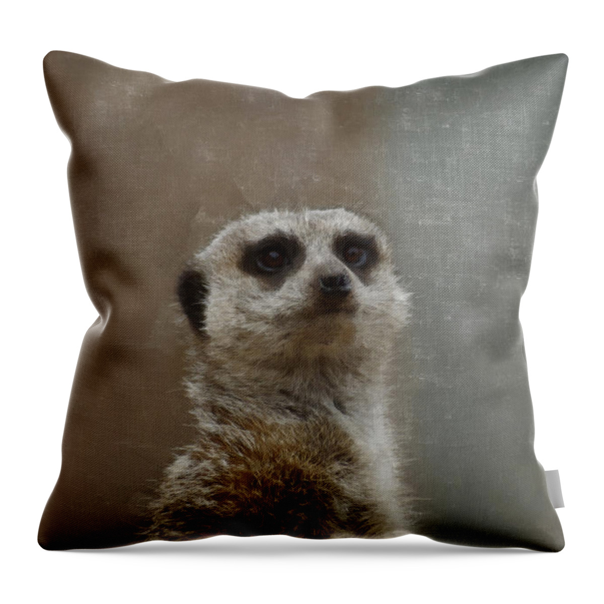 Meerkat Throw Pillow featuring the digital art Meerkat 5 by Ernest Echols