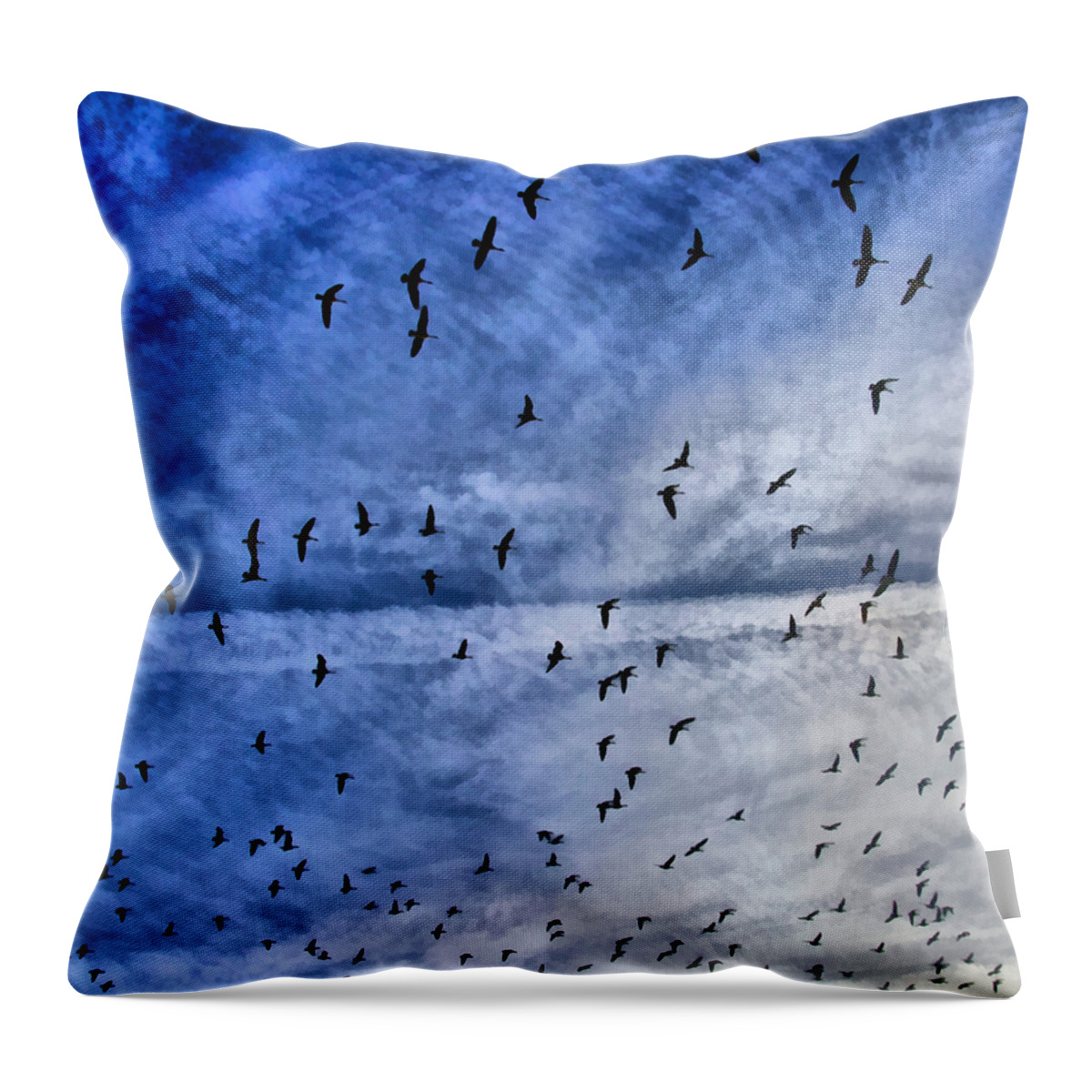 Bird Throw Pillow featuring the photograph Meet Me Halfway Across The Sky 1 by Angelina Tamez