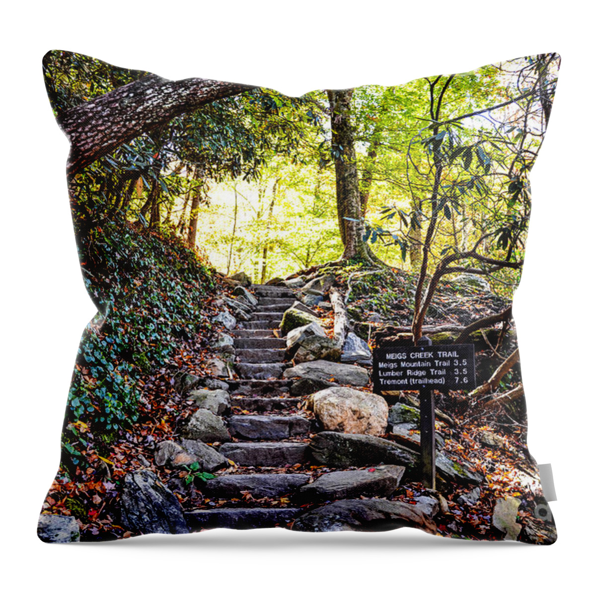 Meigs Creek Throw Pillow featuring the photograph Meigs Creek Trailhead by Paul Mashburn