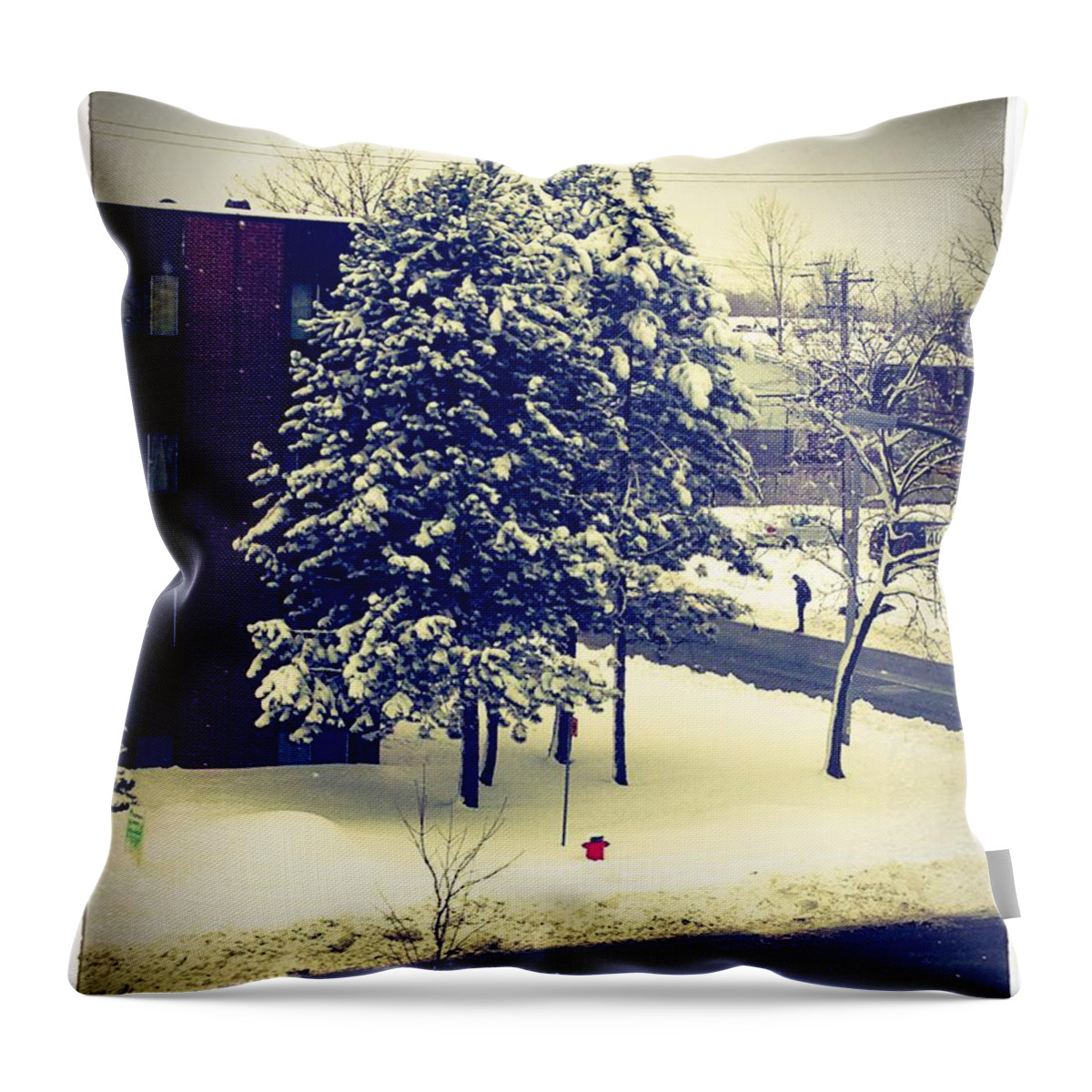 Winter Throw Pillow featuring the photograph Melancholy by Zinvolle Art