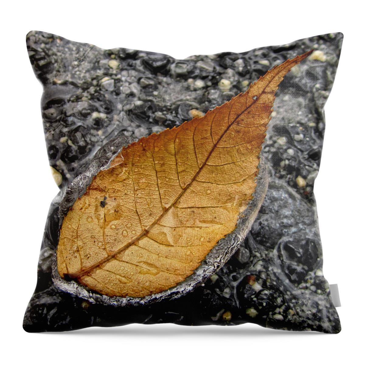 Fallen Leaf Throw Pillow featuring the photograph Melting by Lara Ellis