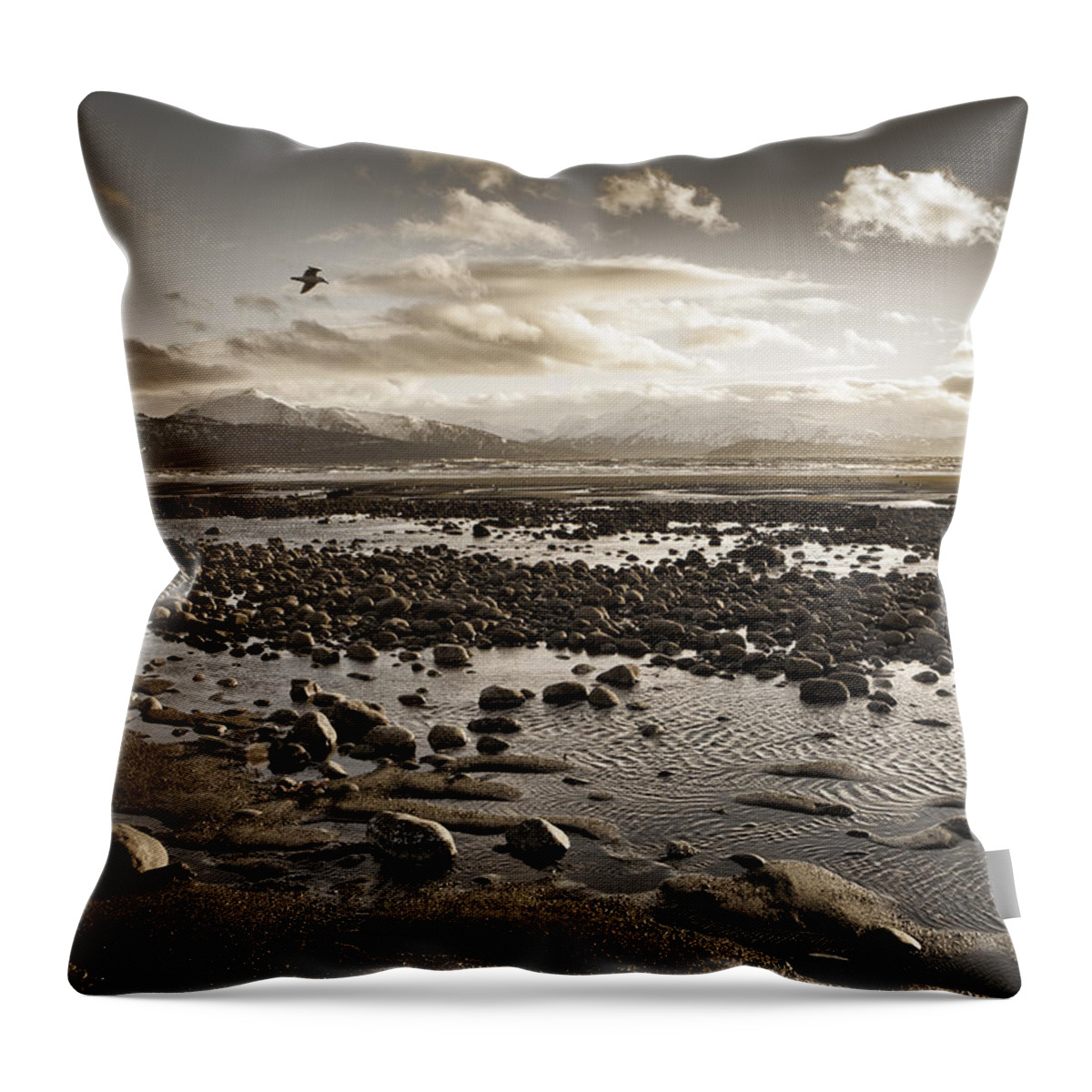 Alaska Throw Pillow featuring the photograph Memories of a Beach by Michele Cornelius