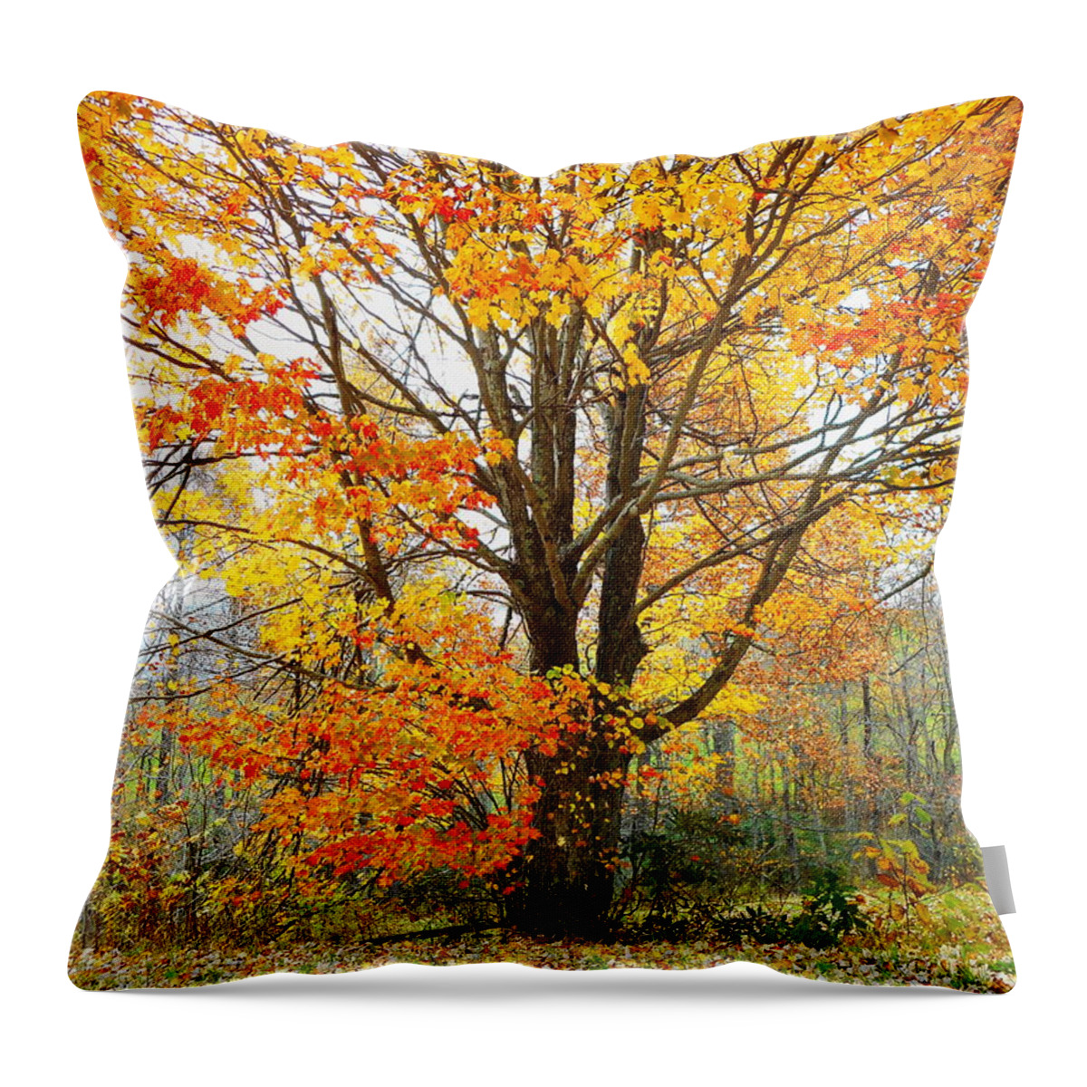 Autumn Throw Pillow featuring the photograph Memories of Autumn by Diannah Lynch
