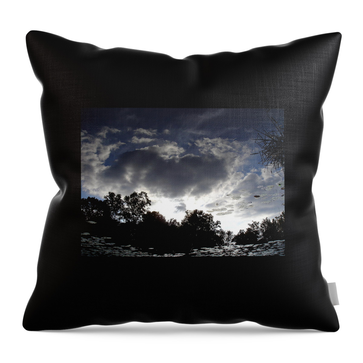 Serene Throw Pillow featuring the photograph Memories of childhood by Jane Ford