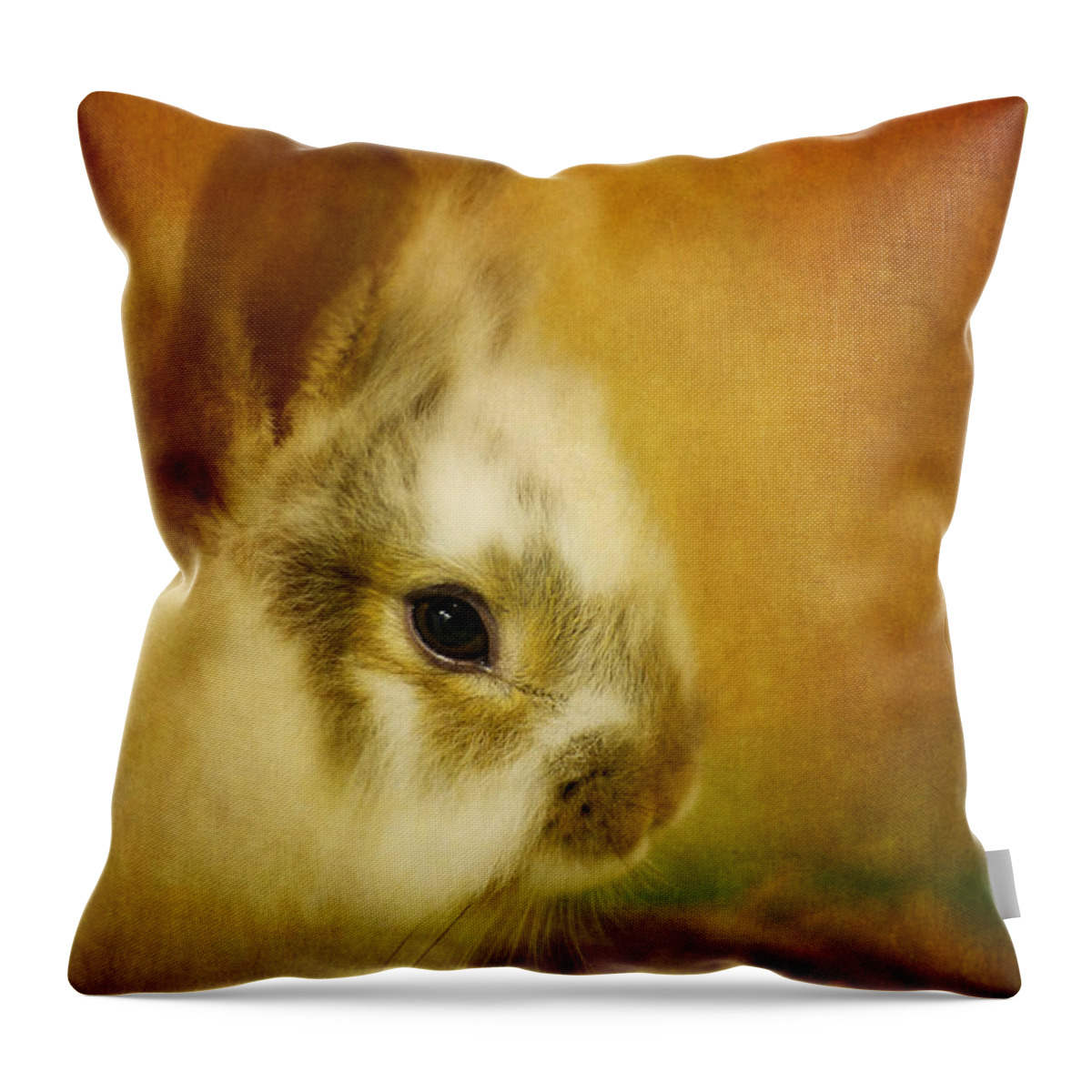 Rabbit Throw Pillow featuring the photograph Memories of Watership Down by Lois Bryan