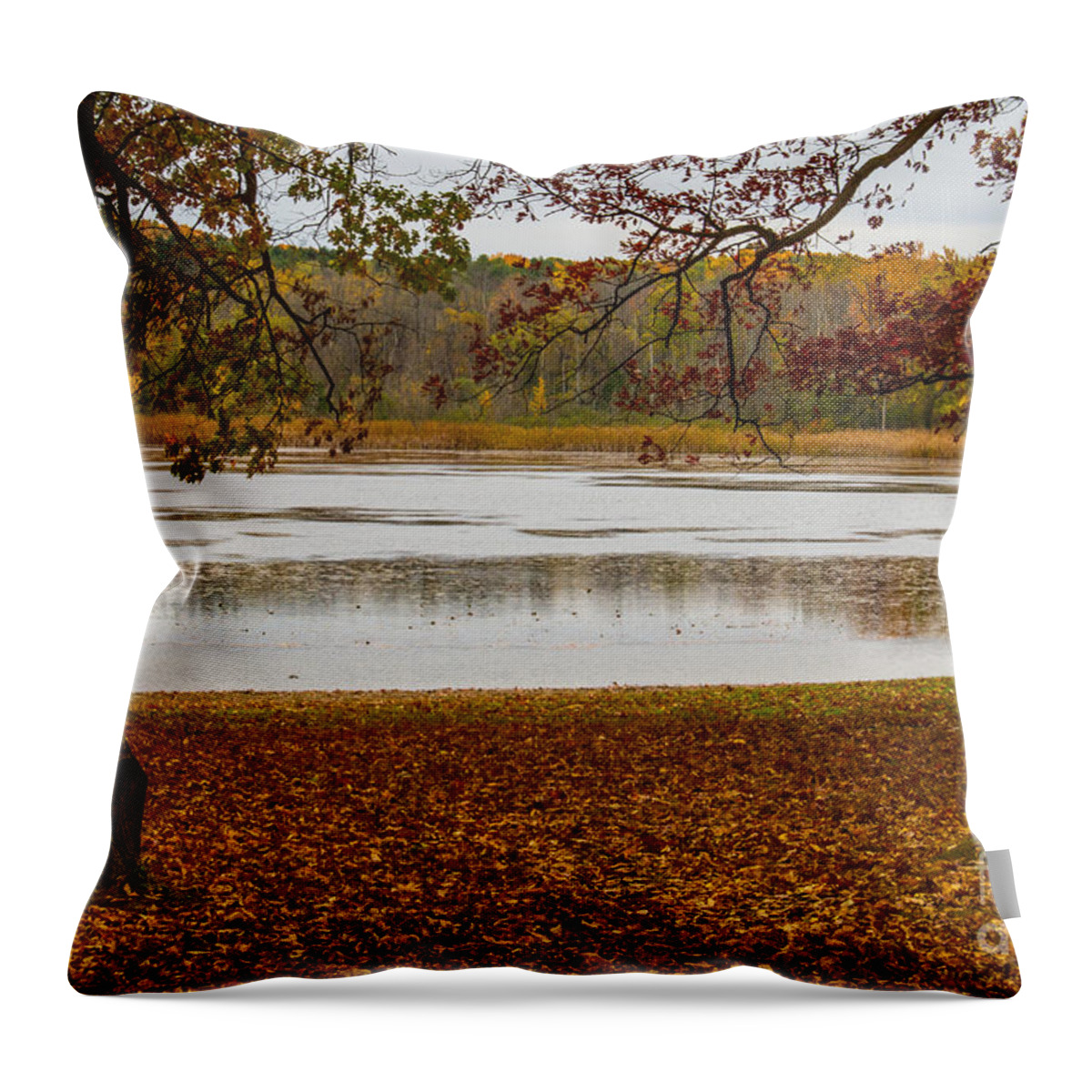 Mendon Ponds Throw Pillow featuring the photograph Mendon Ponds by William Norton