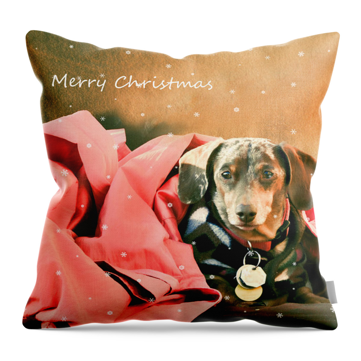 Christmas Throw Pillow featuring the photograph Merry Christmas by Barbara Manis