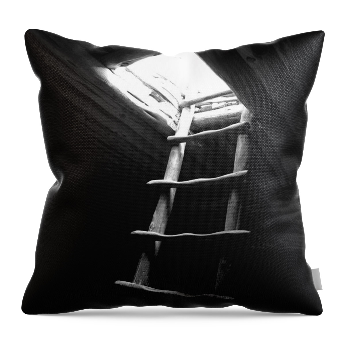 Mesa Verde Throw Pillow featuring the photograph Mesa Verde National Park Kiva Ladder Black and White by Shawn O'Brien