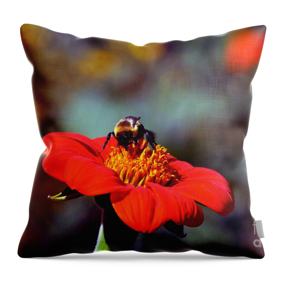 Tithonia Rotundifolia Throw Pillow featuring the photograph Mexican Sunflower Open House Party Time by Byron Varvarigos