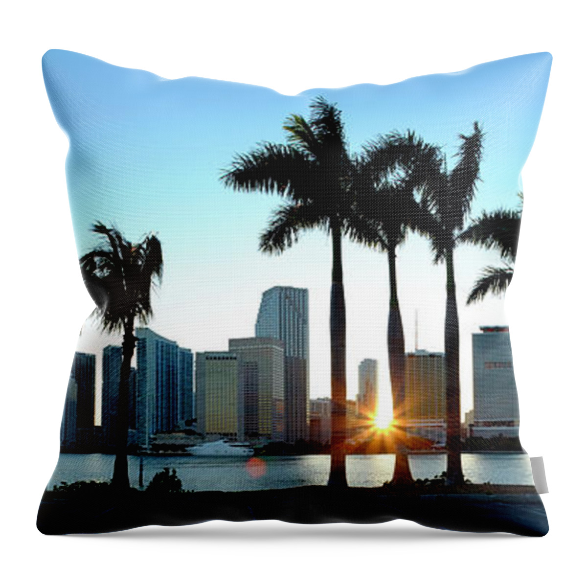 Downtown District Throw Pillow featuring the photograph Miami Skyline Viewed Over Marina by Travelpix Ltd