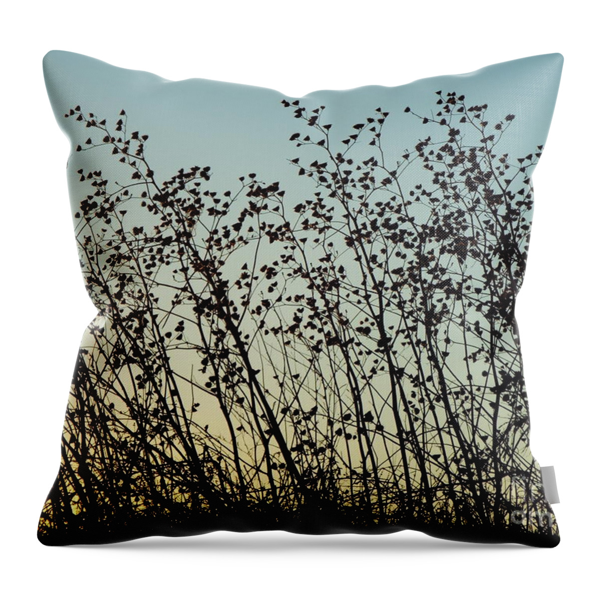 Sunset Throw Pillow featuring the photograph Mid Winter Silhouette by Caryl J Bohn
