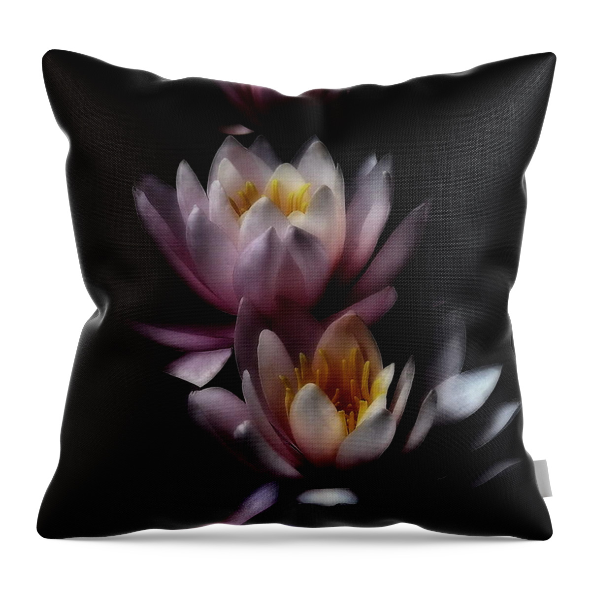Flower Throw Pillow featuring the photograph Midnight at the Oasis by Andrea Kollo