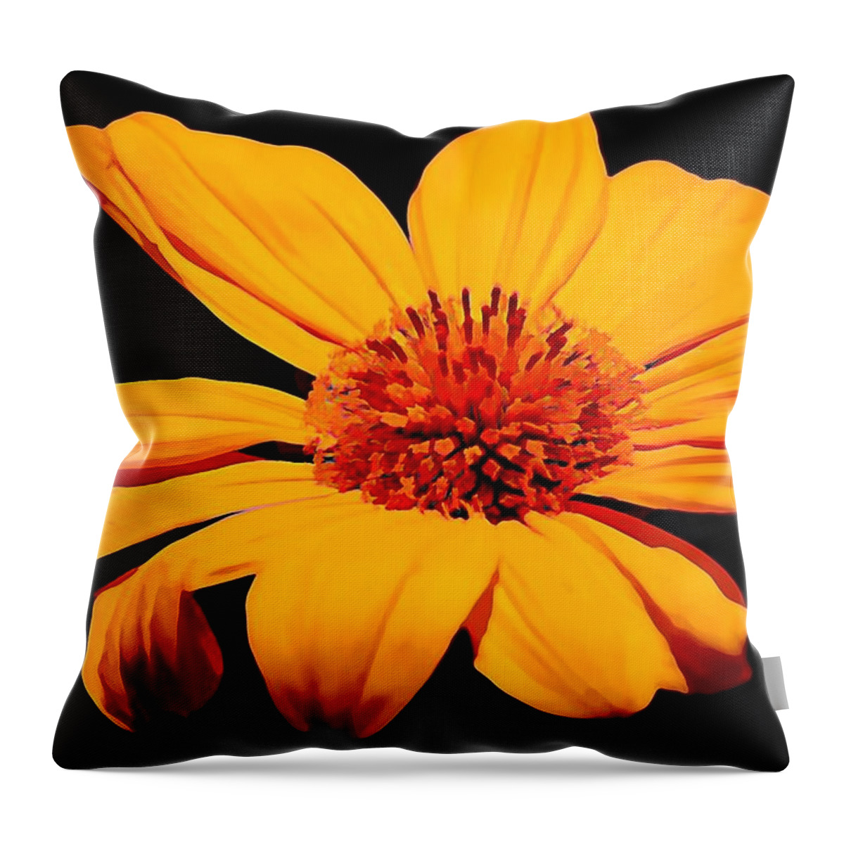 Flower Throw Pillow featuring the photograph Midnight Marigold by Jean Connor