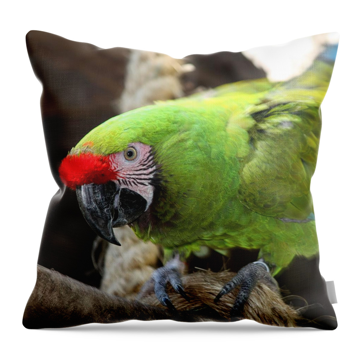 Macaw Throw Pillow featuring the photograph Military Macaw by Jenny Hudson