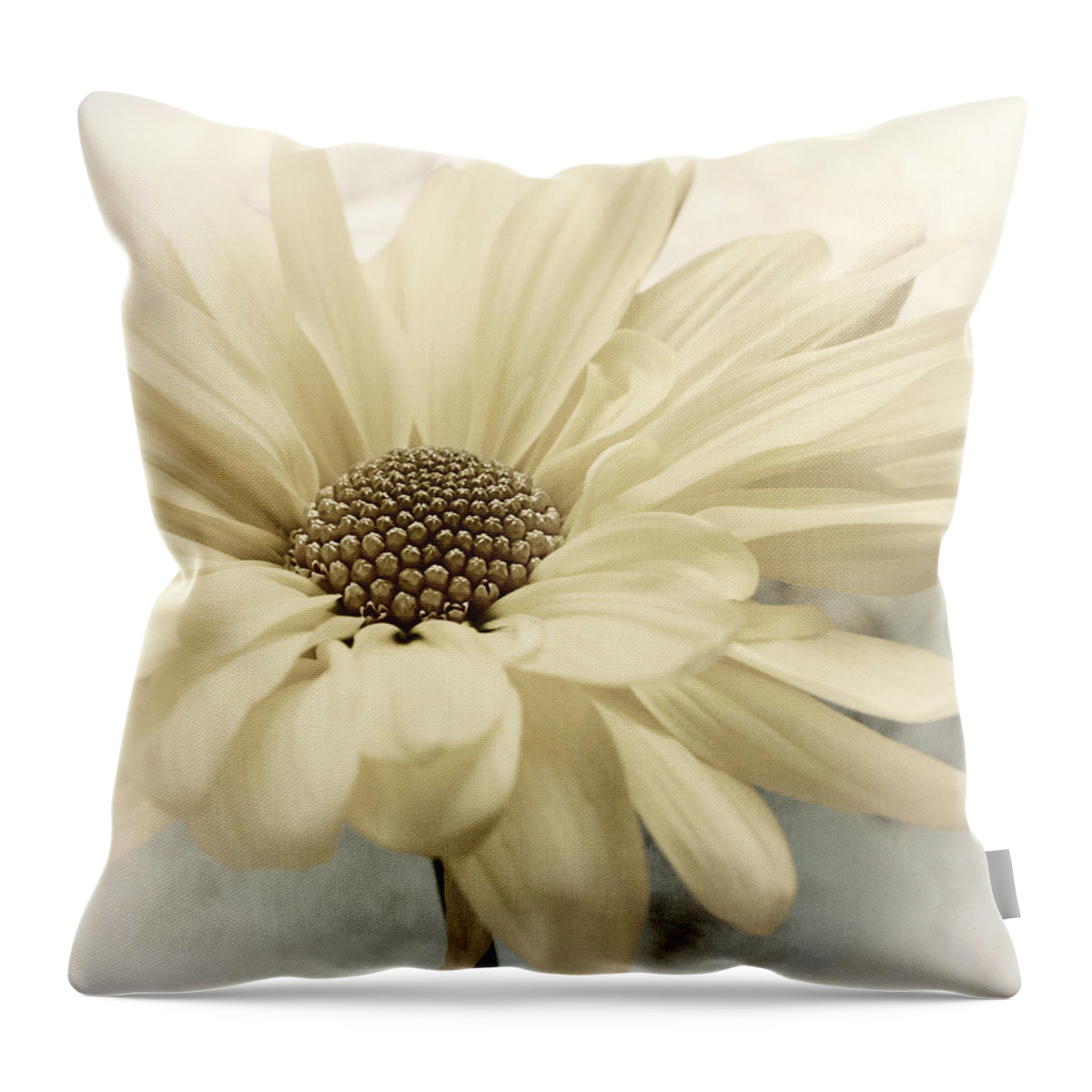 Floral Throw Pillow featuring the photograph Milk and Honey by Darlene Kwiatkowski