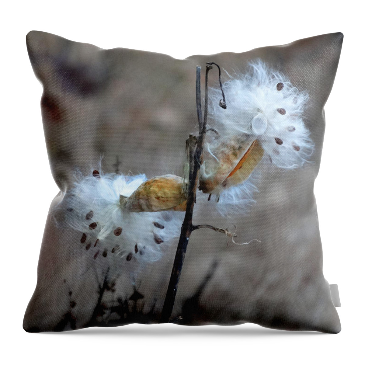 Seeds Throw Pillow featuring the photograph Milkweed Seed Pods by David T Wilkinson