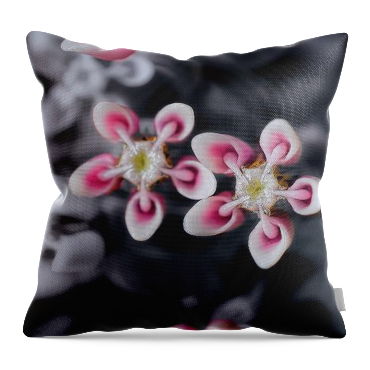 Milkweed Throw Pillow featuring the photograph Milkweed Snowflakes by Henry Kowalski