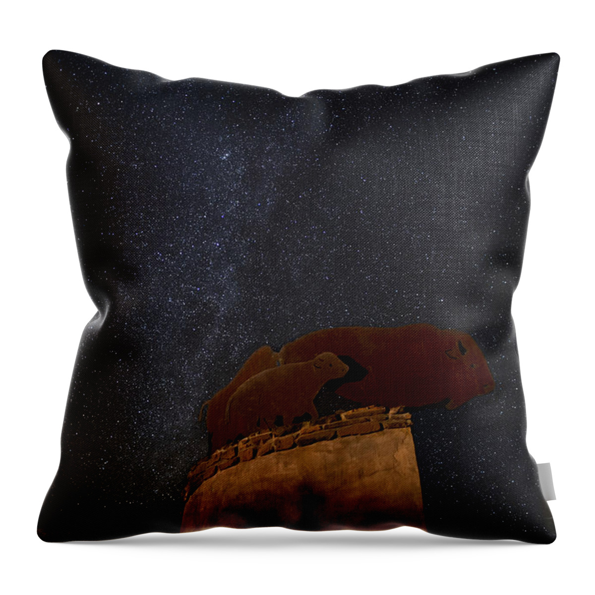 Milkyway Throw Pillow featuring the photograph MilkyWay and Bison by Melany Sarafis