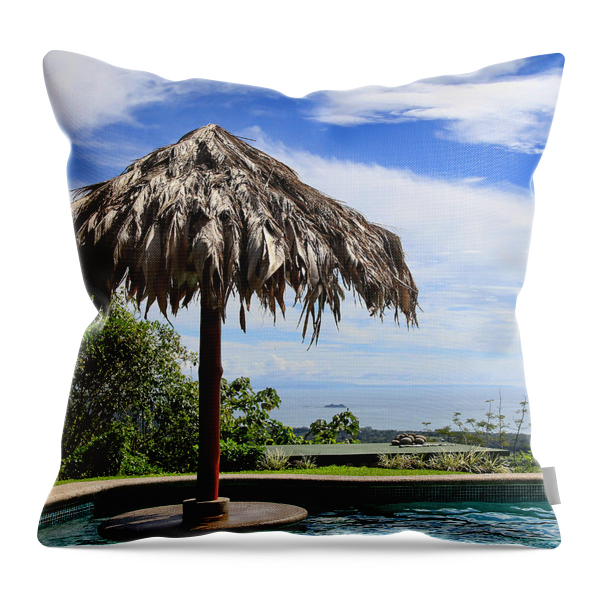 Landscape Throw Pillow featuring the photograph Million Dollars View by Teresa Zieba
