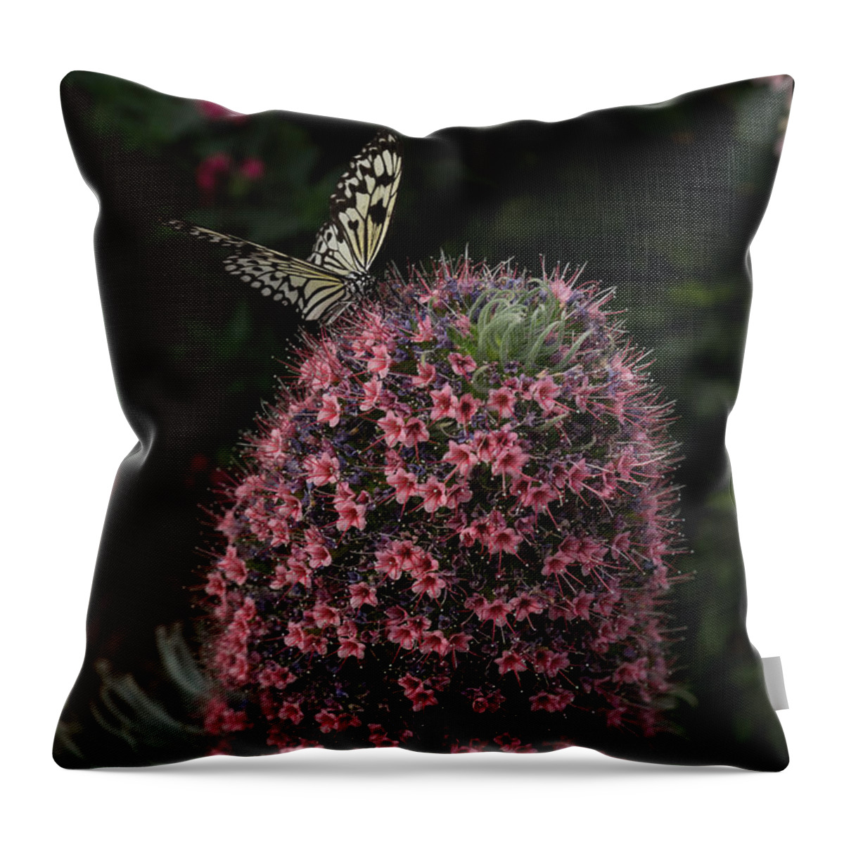 Flower Throw Pillow featuring the photograph Millions of Tiny Flowers Plus a Butterfly by Georgia Mizuleva