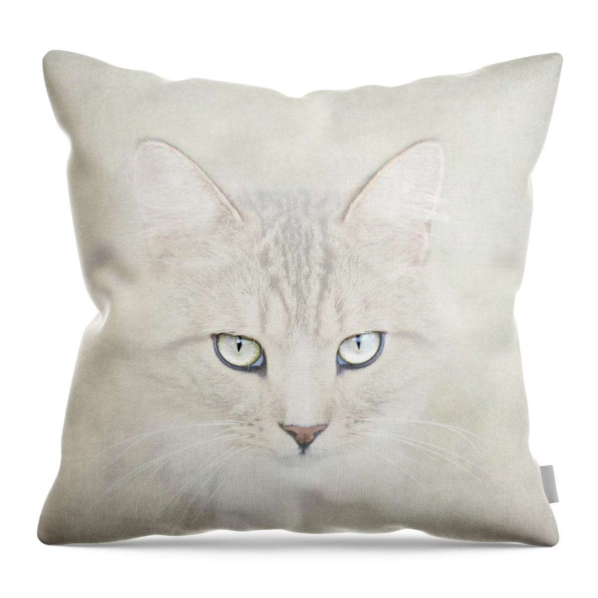 Cat Throw Pillow featuring the photograph Mind Disarmed by Evelina Kremsdorf