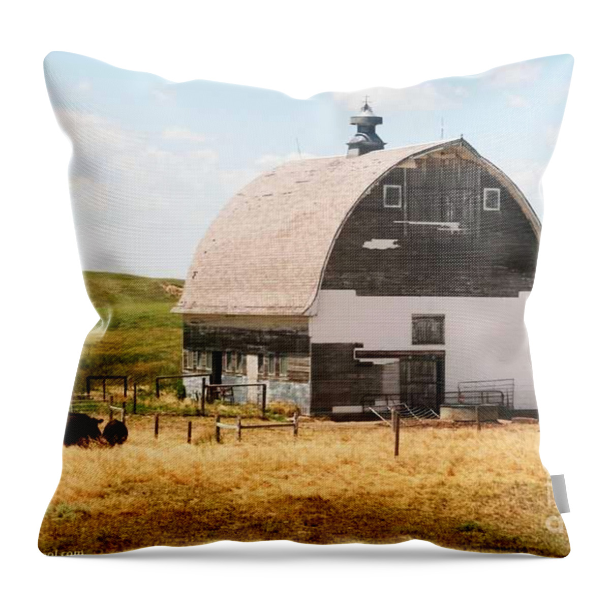 Minden Nebraska Farm Phjoto By Painterartistfin Throw Pillow featuring the photograph MINDEN NEBRASKA OLD FARM and BARN by PainterArtist FIN