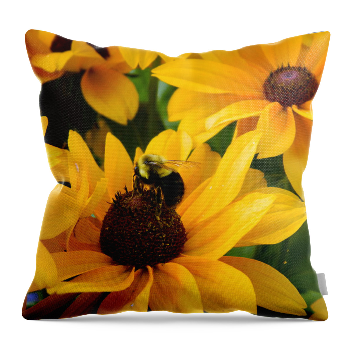 Bee Throw Pillow featuring the photograph Mining Gold by Kathy Barney