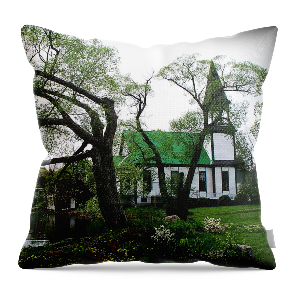 Landscape Throw Pillow featuring the photograph Minnehonk View by Joy Nichols