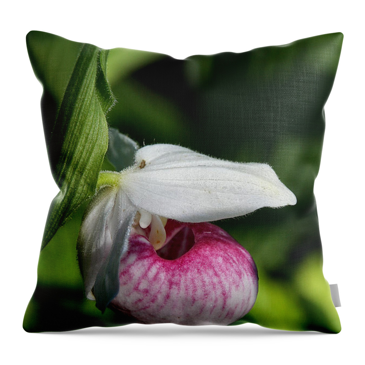 Flower Throw Pillow featuring the photograph Minnesota's Wild Flower by Susan Herber