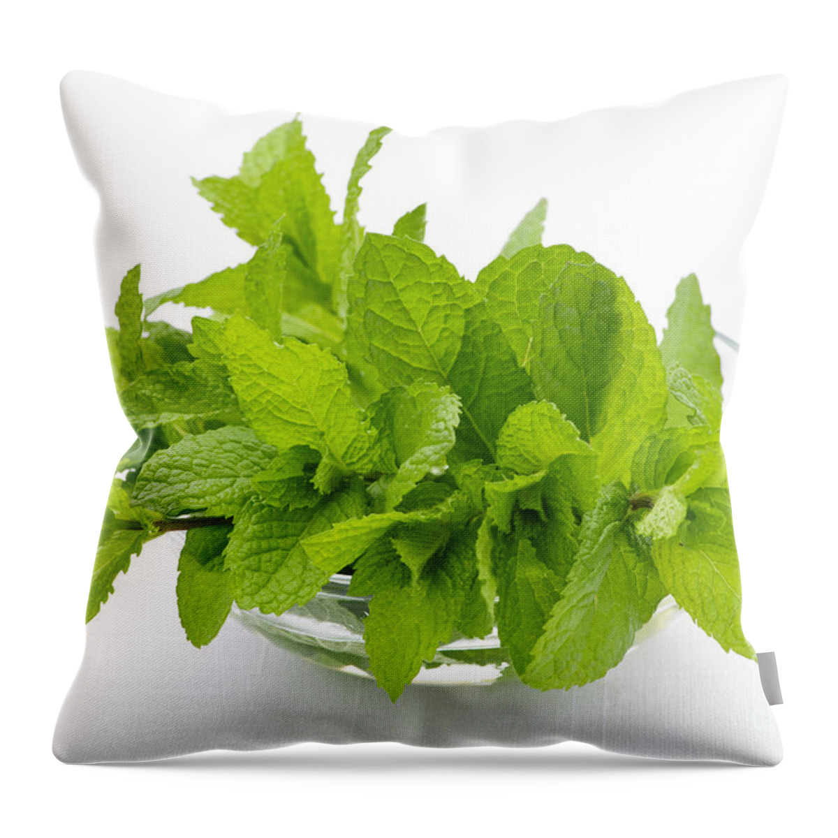 Mint Throw Pillow featuring the photograph Mint sprigs in bowl by Elena Elisseeva