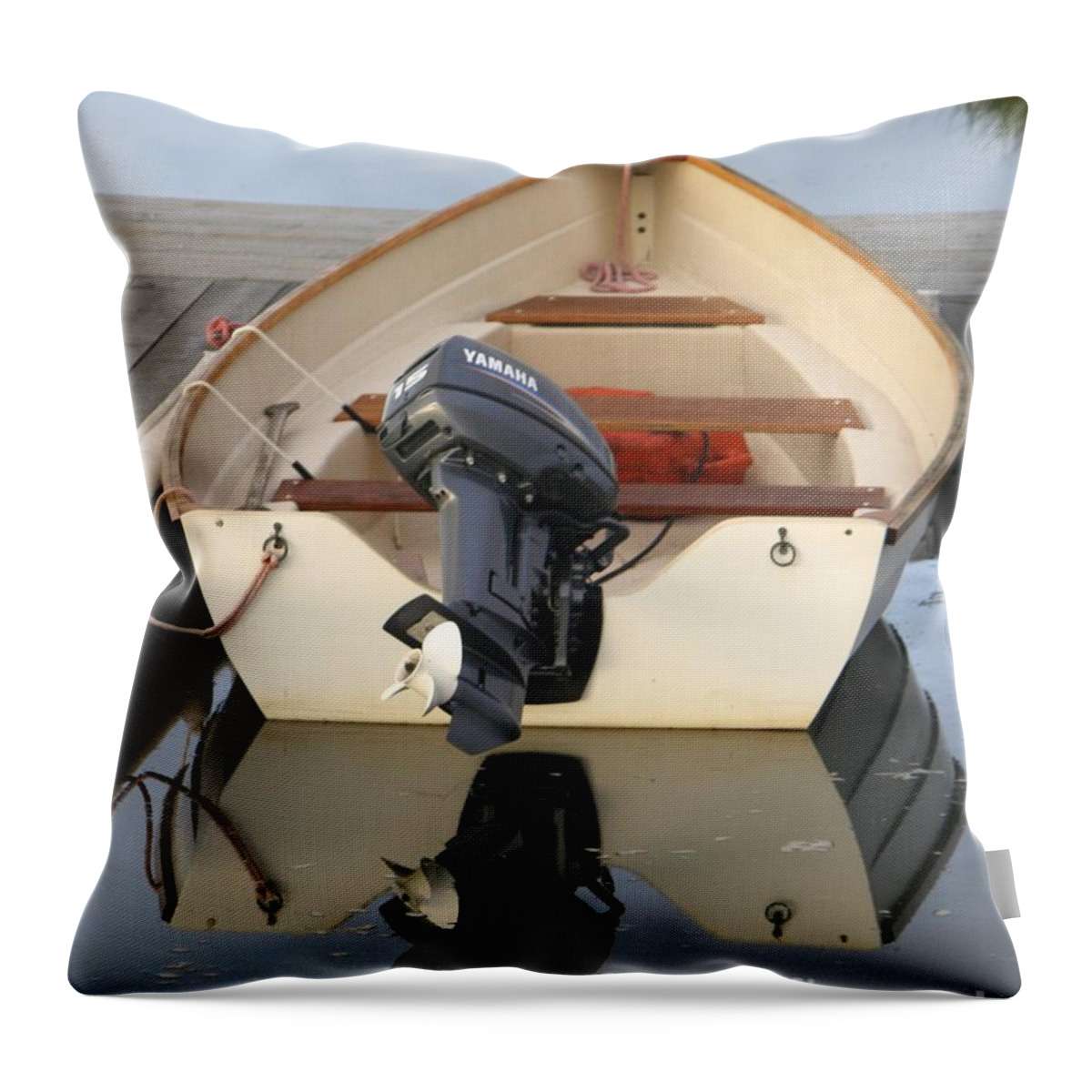 Mirror Image Throw Pillow featuring the photograph Mirror Image by Jim Gillen