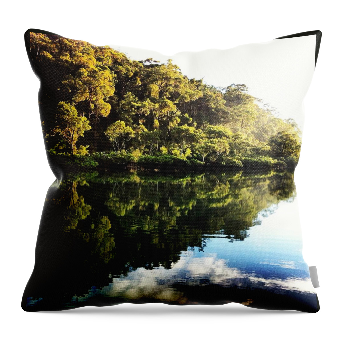 Landscape Throw Pillow featuring the photograph Mirror River by Nic Westaway