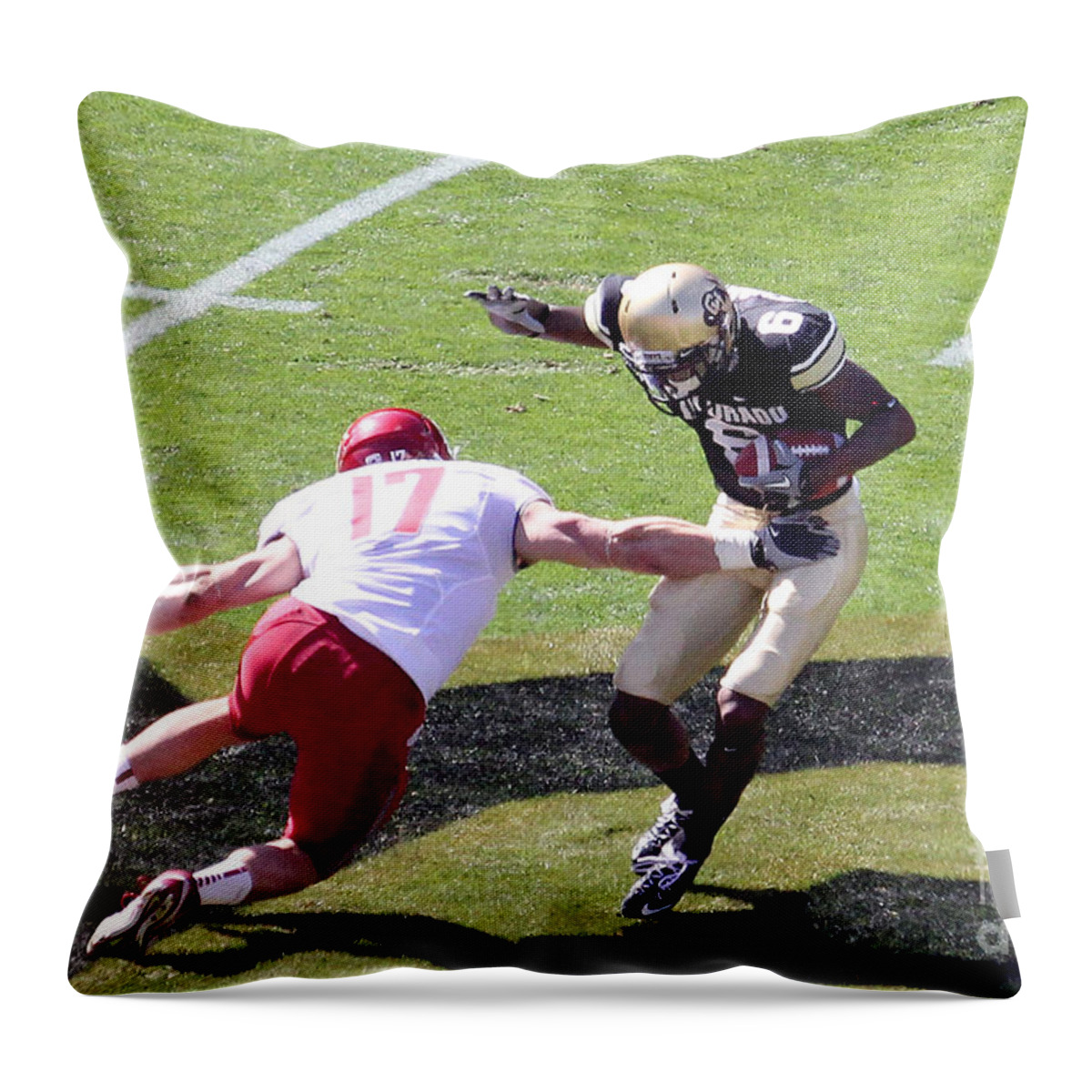 Colorado Throw Pillow featuring the photograph Missed Me by Bob Hislop