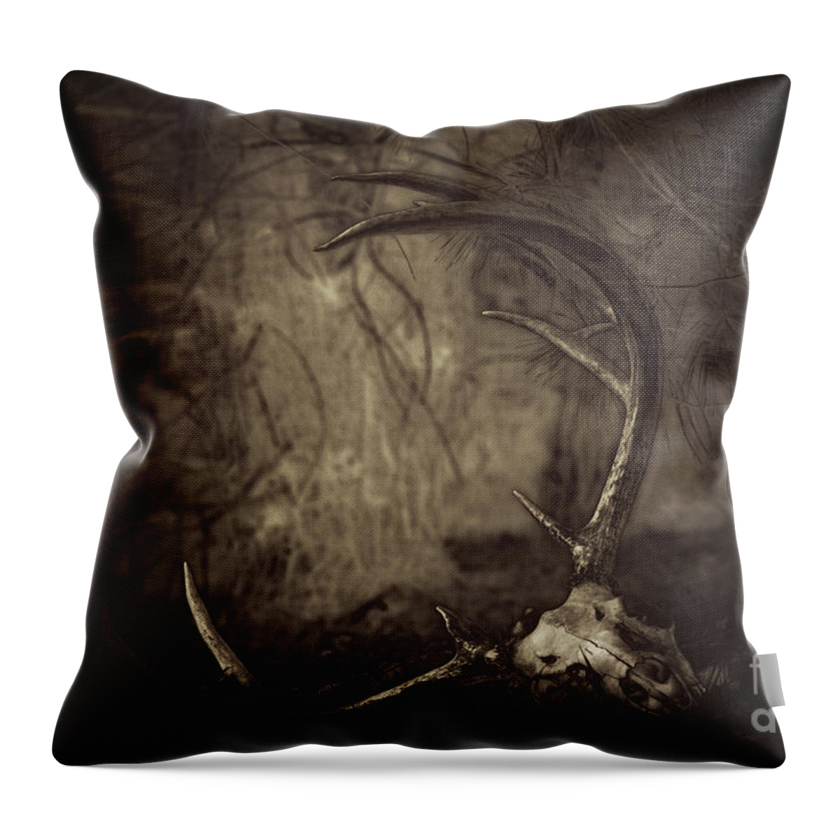 Whitetail Throw Pillow featuring the photograph Mission Accomplished by Roger Bailey