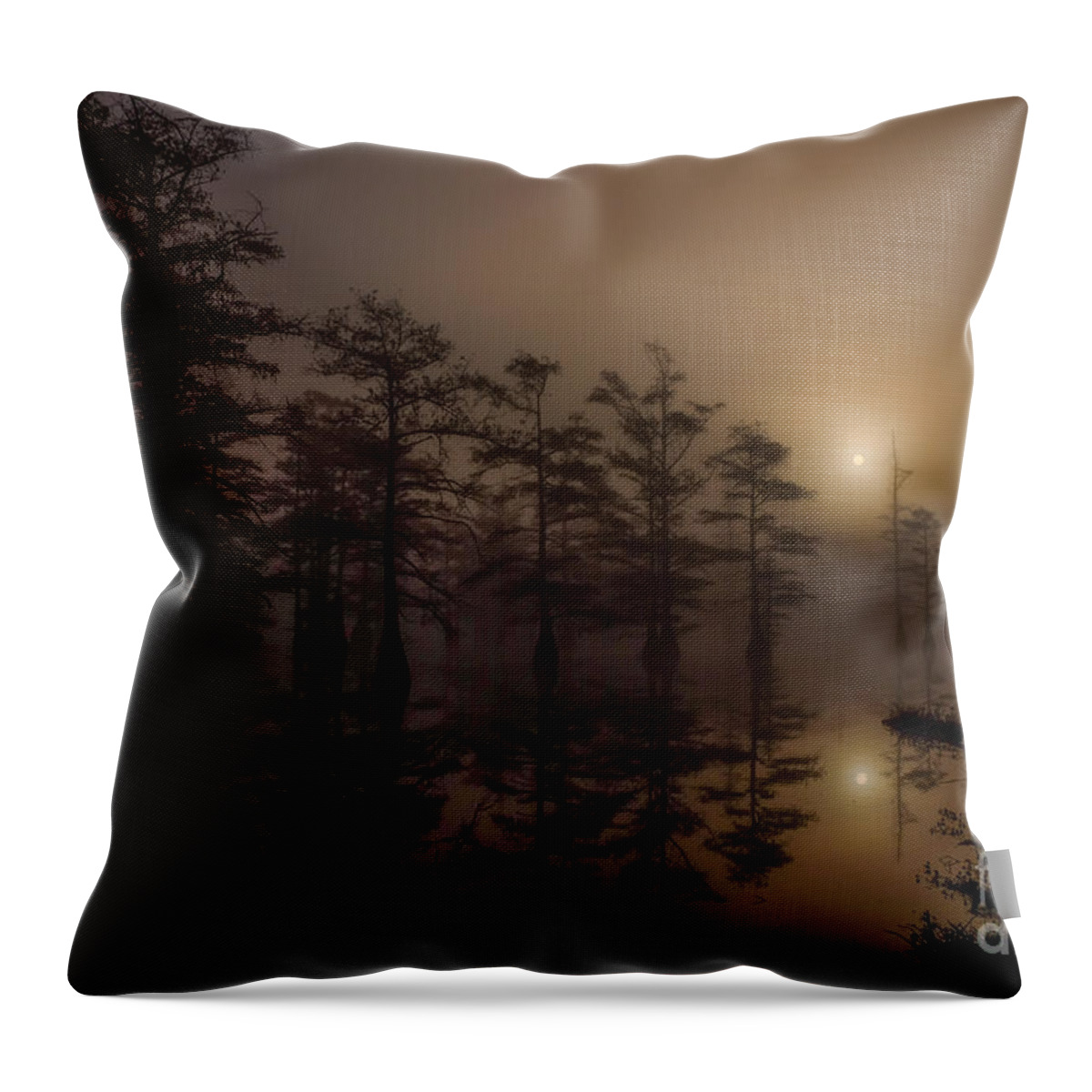 Swamp Throw Pillow featuring the photograph Mississippi Foggy Delta Swamp at Sunrise by T Lowry Wilson