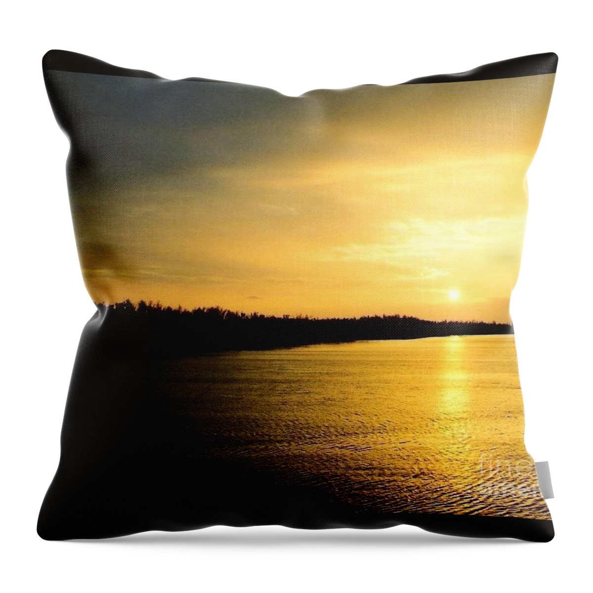 Michael Hoard Photos Throw Pillow featuring the photograph Sunrise Over The Mississippi River Post Hurricane Katrina Chalmette Louisiana USA by Michael Hoard